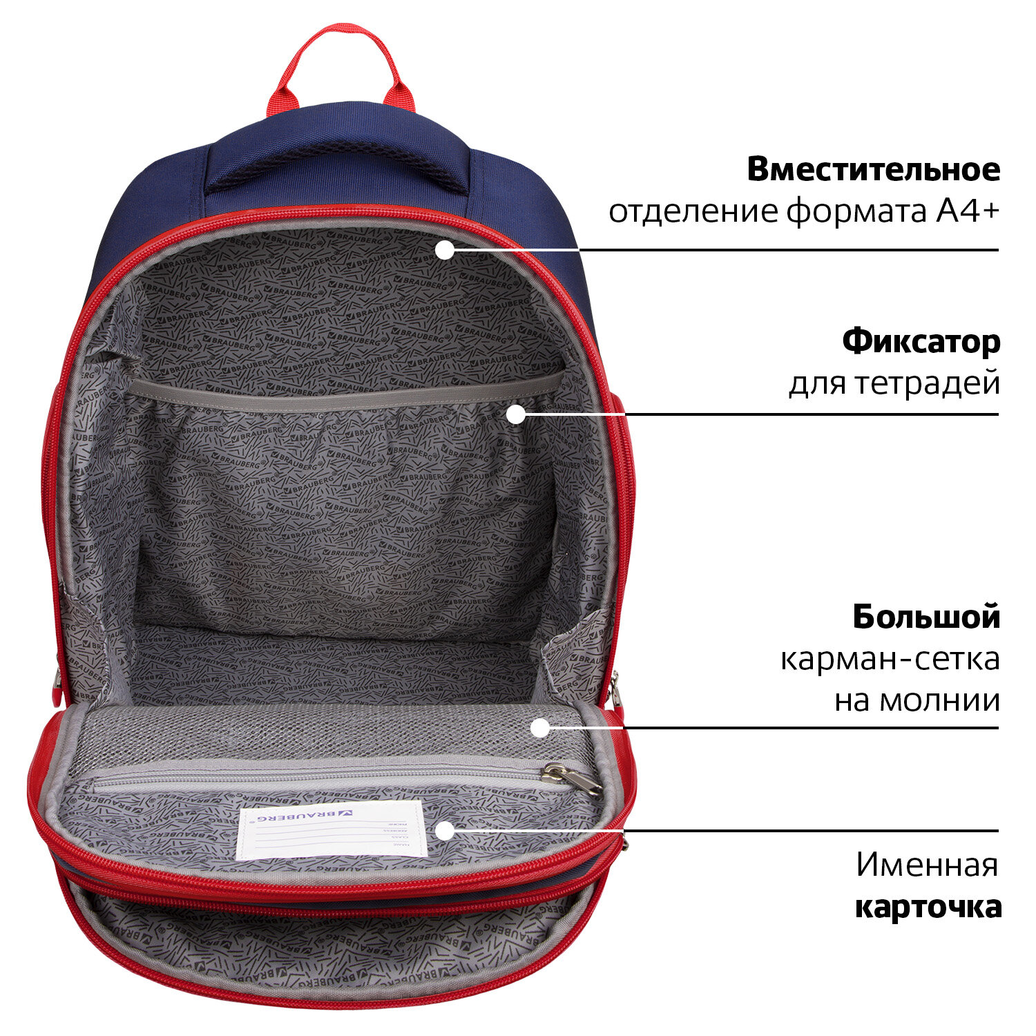 Рюкзак BRAUBERG CLASSIC, легкий каркас, премиум материал, Lion, синий, 37х32х21 см