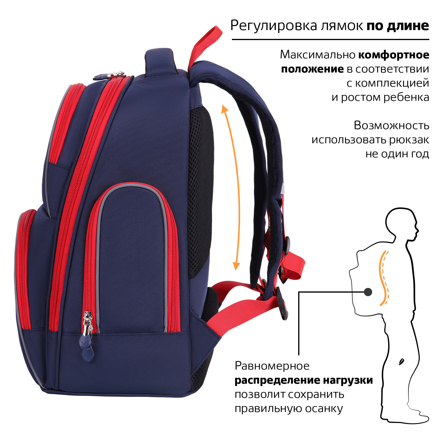 Рюкзак BRAUBERG CLASSIC, легкий каркас, премиум материал, Lion, синий, 37х32х21 см
