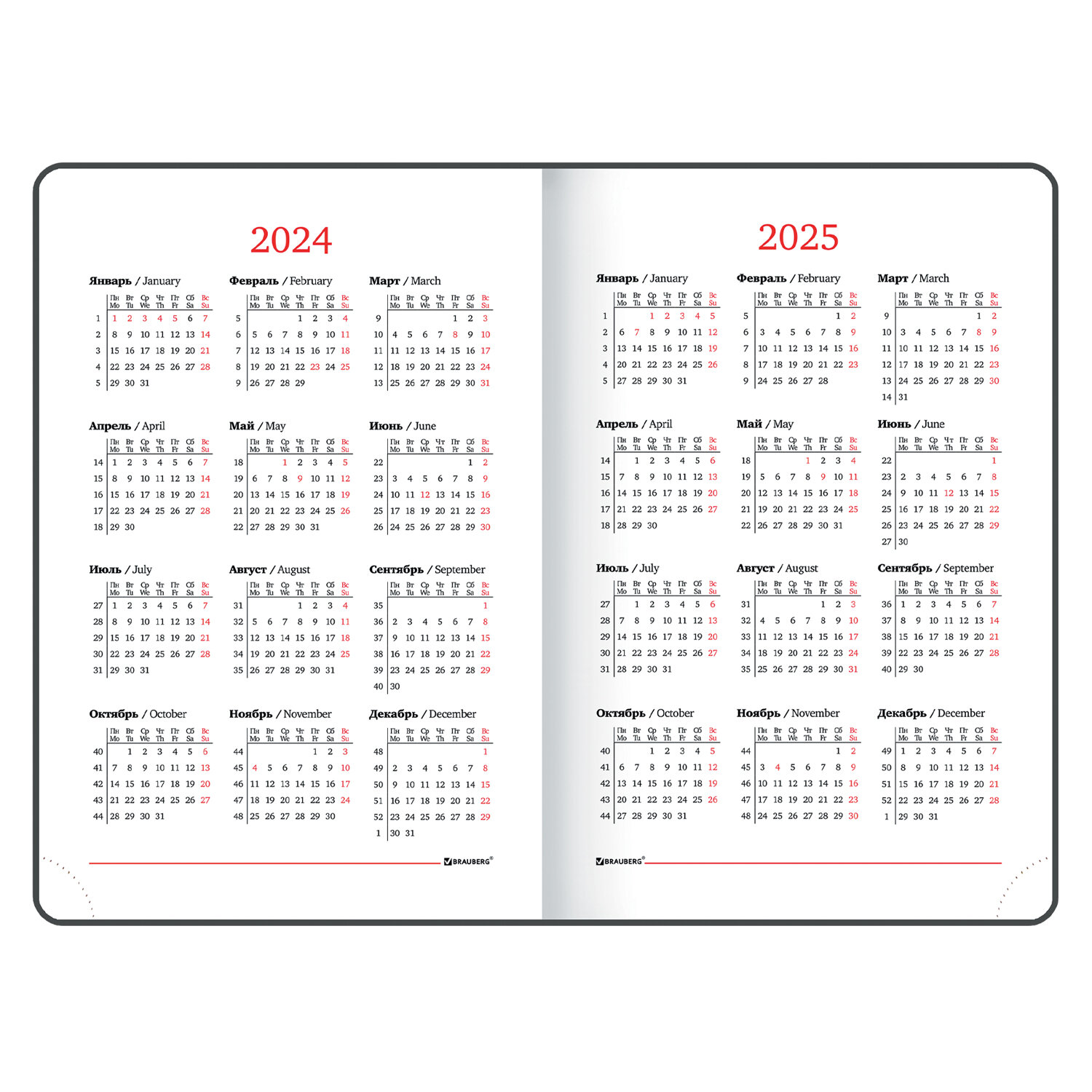 Ежедневник 2024